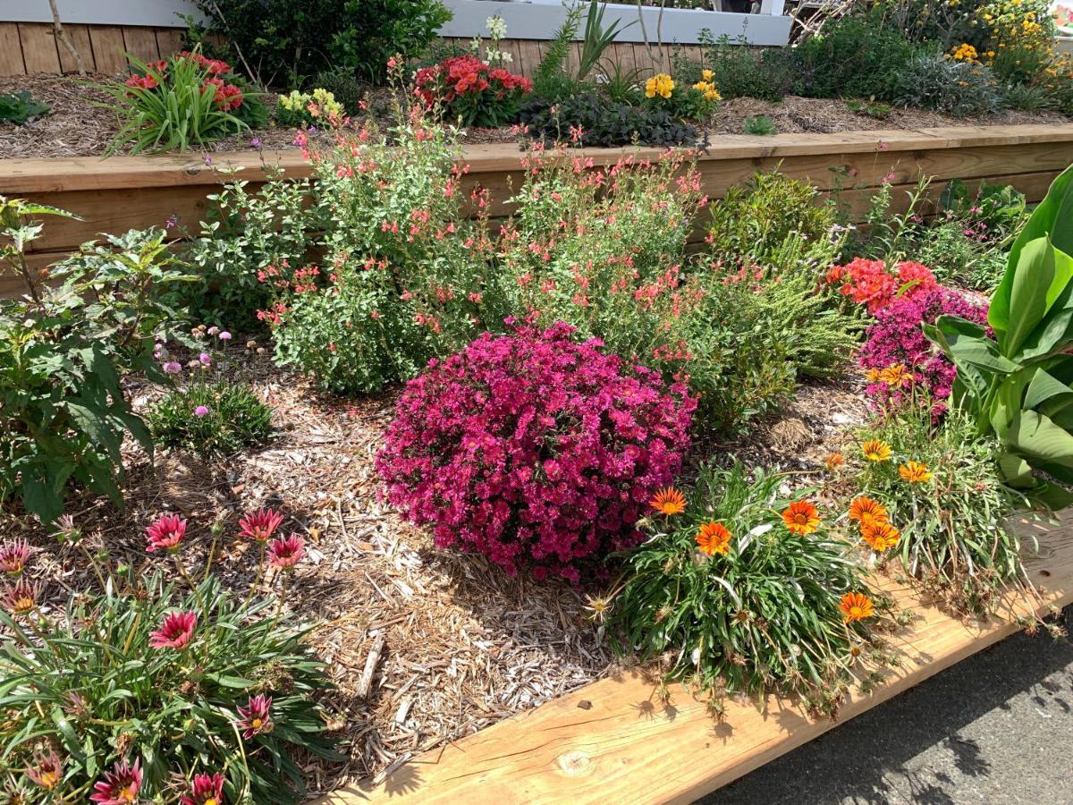ويلسفورد Tracy'S Boutique B&B Farmstay المظهر الخارجي الصورة