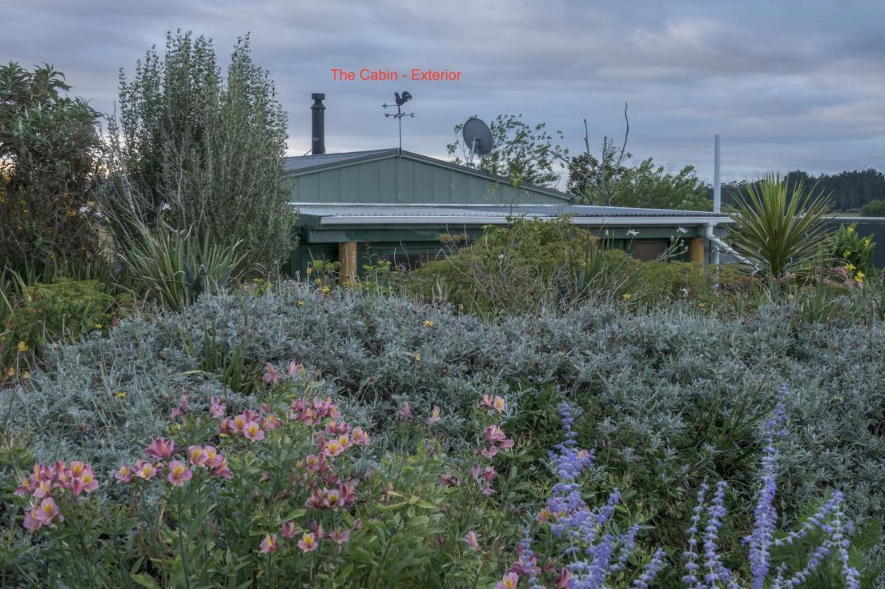 ويلسفورد Tracy'S Boutique B&B Farmstay المظهر الخارجي الصورة